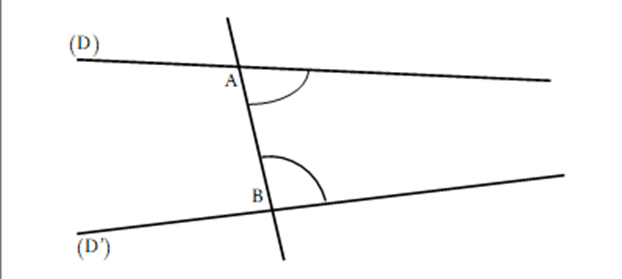 Anfasse220312